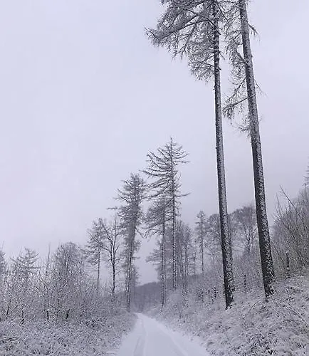 F21 Deluxe W Bielawie - Widok Na Gory Sowie Bielawa (Dzierzoniow)