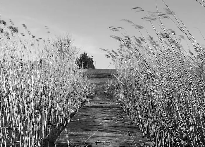 F21 Deluxe W Bielawie - Widok Na Gory Sowie * Bielawa (Dzierzoniow)